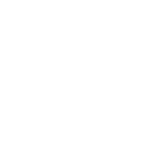 ASE Certified Bavarian RennSport